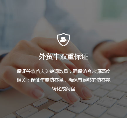 外貿(mào)網(wǎng)站推廣,外貿(mào)網(wǎng)站建設推廣