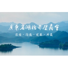 赤壁商會(huì)品牌網(wǎng)站建站